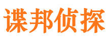 汾西市调查公司